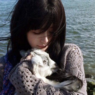 哈利波特:混血王子的背叛